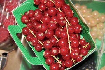Fruits et légumes primeur marché groseille