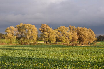 Obraz premium Krajobraz. Polska - Mazury - Warmia.