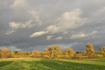 Polska - Mazury. Krajobraz.