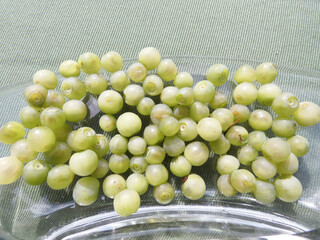 Mutation, White Blueberries