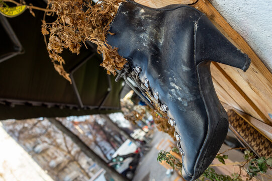 Ein Kunstwerk. Ein schuh aus dem eine vertrocknete blume w&auml;chst. 