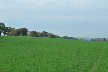 Polska - Mazury - Warmia. Krajobraz.