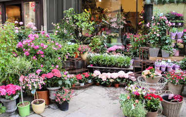 Fototapeta na wymiar Flower shop. Pots of different flowers displayed outdoor on the street of Vienna.