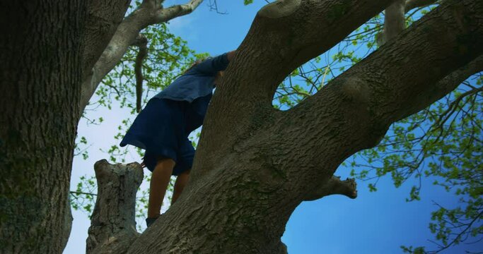 Young woman climbing a big tree