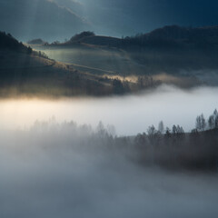 Fototapeta na wymiar A landscape from Apuseni mountain, Romania. Mist in the trees
