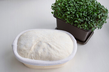 Composition on a light background, in daylight. Homemade bread dough in rattan basket and cress salad