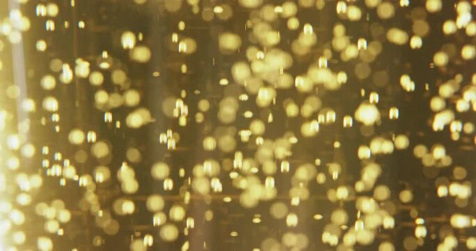 Close-up footage of carbonated beer bubbles flowing upwards in pint glass