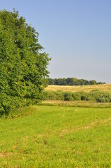 Obraz premium Polska - Mazury - Warmia. Panorama. Wiosna. Drzewo.