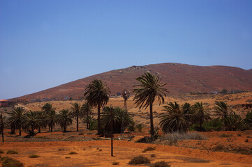 Fototapeta na wymiar old mill between palm trees in arid terrain