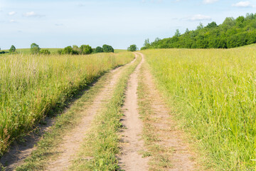 Fototapeta na wymiar Dirt road leading to the wooded horizon along fields. Summer sunny countryside landscape.