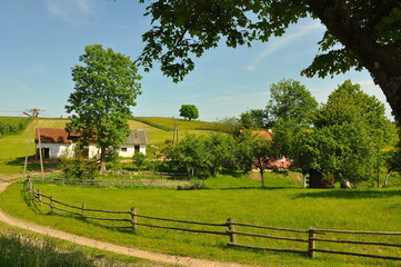 Krajobraz mazurski © Rafa