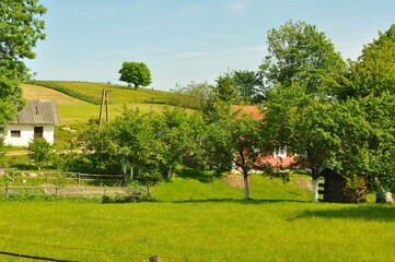 Wiosna
