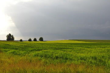 Polska - Mazury - Warmia. Krajobraz.
