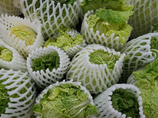 Chinese cabbage for sale on the supermarket.