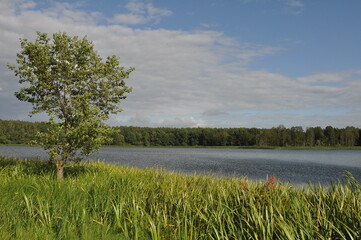 Polska - Mazury - Warmia. Krajobraz.