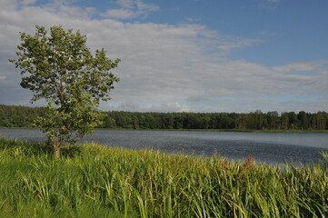 Polska - Mazury - Warmia. Krajobraz.