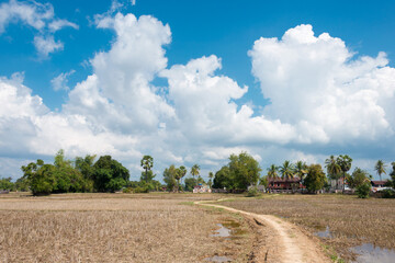 The country landscape at Don Det in 4000 islands, Champasak Province, Laos.