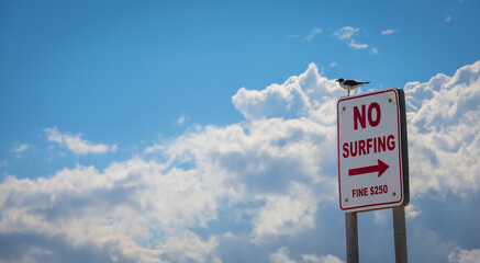 "NO SURFING" Sign