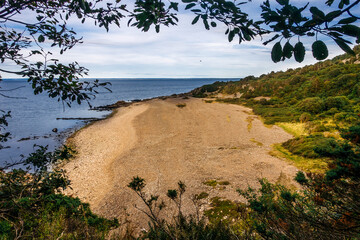 Lonely beach seen from above trough trees and leaves on a sunny day.