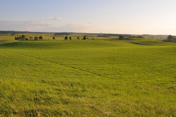 Pole. jonkowo. Polska - Mazury - Warmia.