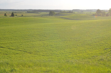 Krajobraz. Wiosna. Pole. Polska - Mazury - Warmia.