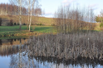 Polska - Mazury - Węgajty