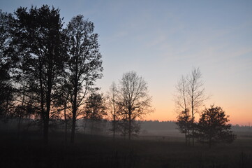Fototapeta premium Polska - Mazury - Warmia. Krajobraz.
