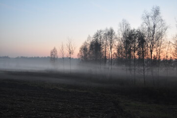 Mgła jesienna. Polska - Mazury - Warmia.