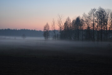 Krajobraz. Jesienna mgła o zachodzie słońca.