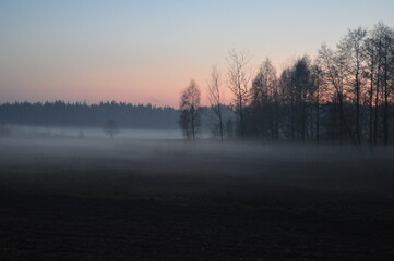 Fototapeta na wymiar Wieczorna mgła. Krajobraz.
