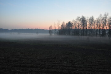 Mgła zimą. Polska - Mazury - Warmia.