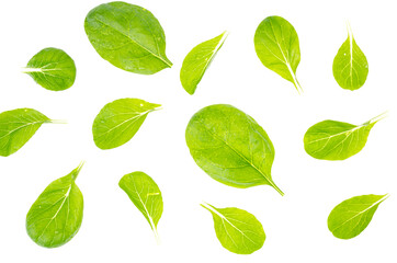 Green spinach leaves isolated on white background