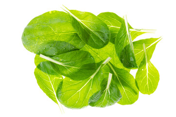 Fototapeta premium Green spinach leaves isolated on white background