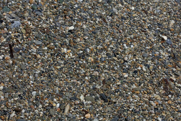 Beach ground life macro background covid-19 june season creta island greece high quality prints