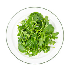 Healthy eating Arugula and spinach leaves on white plate, vegetarian menu