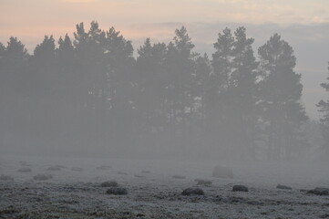Zima - zachód słońca we mgle