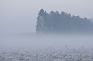 Polska - Mazury. Mgła zimą.