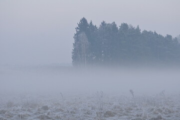 Fototapeta na wymiar Mgła zimą. Polska - Mazury - Warmia.
