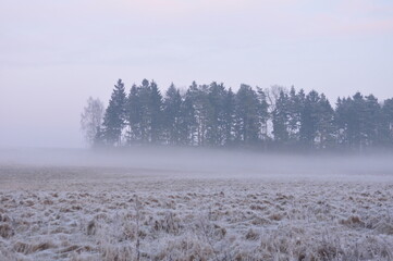 Obraz premium Polska - Mazury - Warmia. Krajobraz.