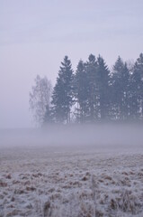 Fototapeta na wymiar Mazury zimą