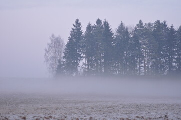 Polska - Mazury.  Mgła zimą.