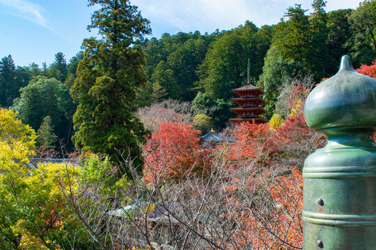 「大和国」の画像 155 件の Stock 写真、ベクターおよびビデオ Adobe Stock