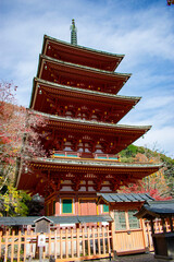 Naklejka premium 紅葉の長谷寺