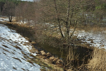 Las i jezioro. Krajobraz. Polska - Mazury - Warmia.