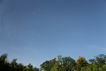 京　桂　20150511