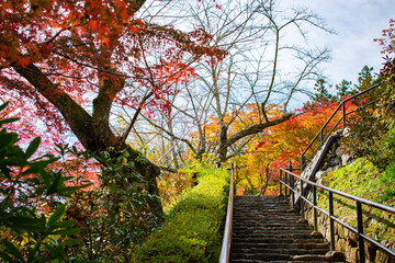 紅葉の長谷寺