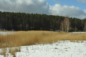 Las zimą. Krajobraz. Wymój. Polska - Mazury - Warmia.  © Rafa