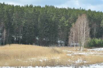 Las zimą. Krajobraz. Wymój. Polska - Mazury - Warmia. © Rafa