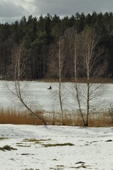 Jezioro zimą. Wędkarz. Polska - Mazury - Warmia.