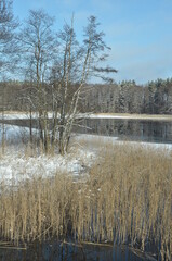 Krajobraz zimowy. Polska - Mazury - Warmia. © Rafa